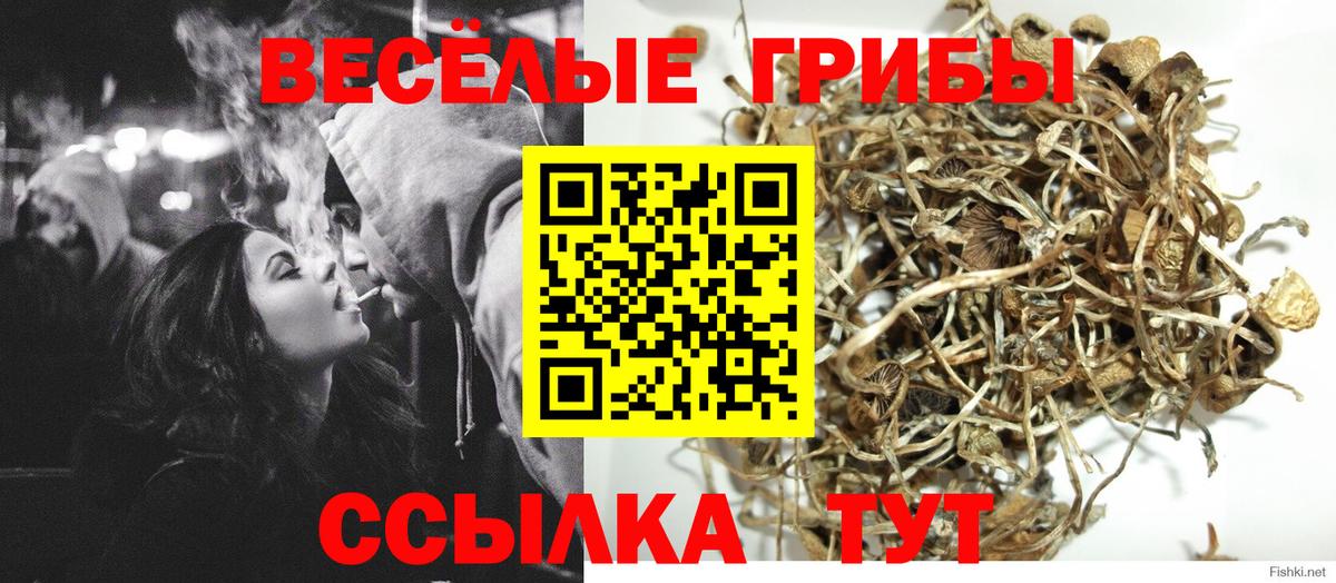 Псилоцибиновые грибы мицелий  Вход с VPN  Богородск 